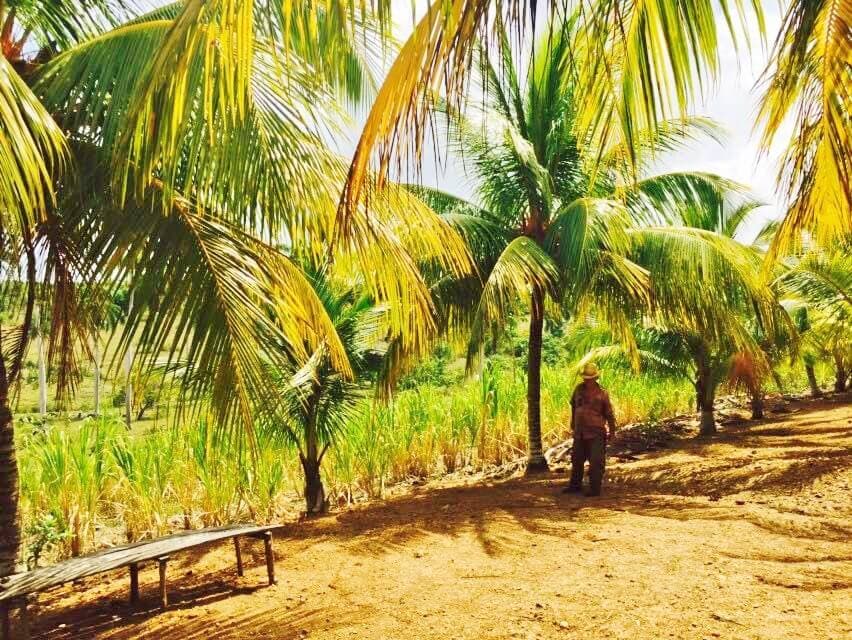 Hottest Destinations