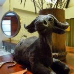 The Bison in the Bison room