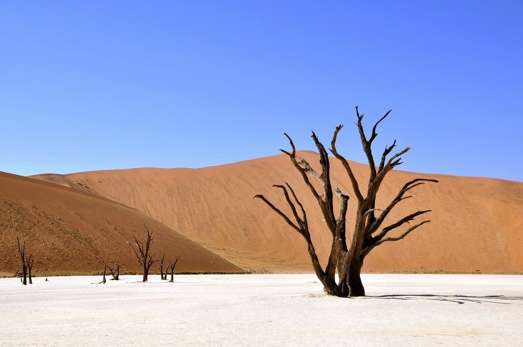 Best Holiday Destinations 2017 - Namibia