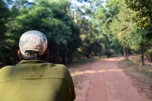 MP TOURISM | AMARKANTAK | JABALPUR | BANDHAVGARH | ITINERARY