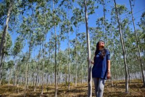 MP TOURISM | AMARKANTAK | JABALPUR | BANDHAVGARH | ITINERARY